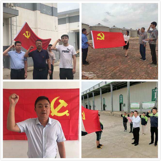九九如一，继往开来——收储公司开展庆“七一”系列活动